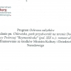 Remont alejek w parku 2019