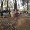 Remont alejek w parku 2019