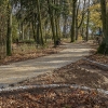 Remont alejek w parku 2019